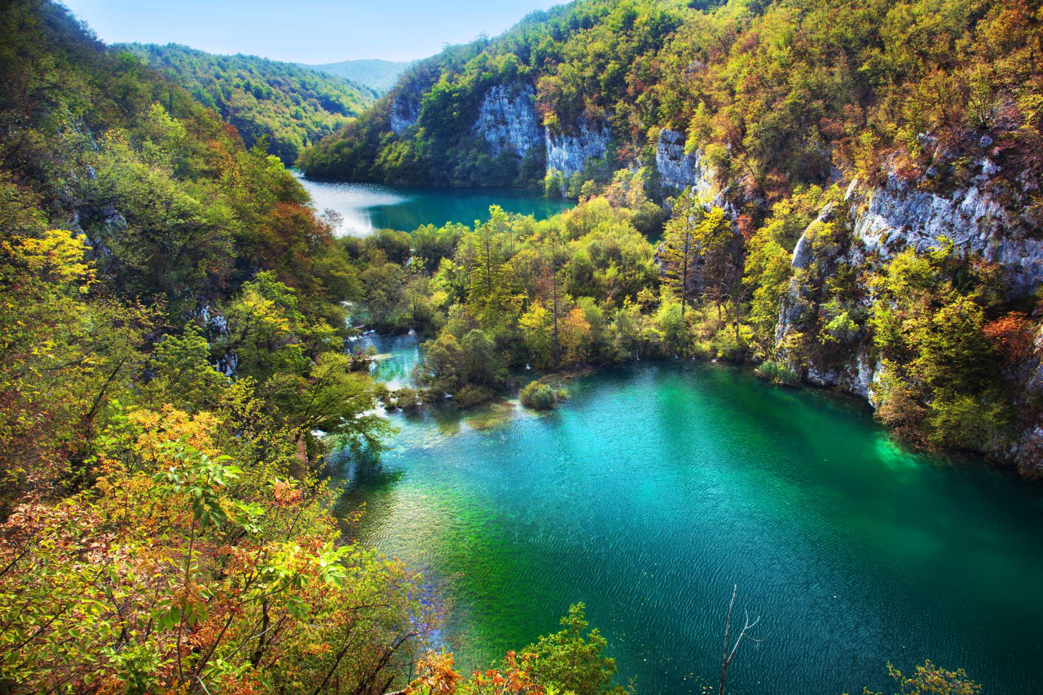 Lakes in forest. Crystal clear water.