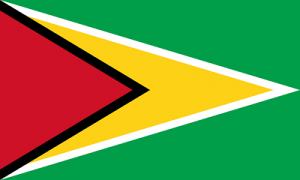 2000px-Flag_of_Guyana
