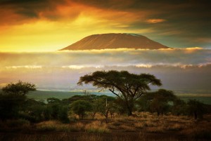 Kenya_Safar1_Travel