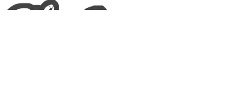 Alpha Travel Insurance