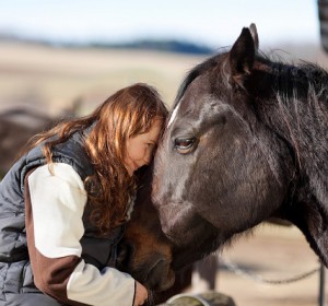 Young girl sitting in the wooden paddock fence pets her dark bay horse
