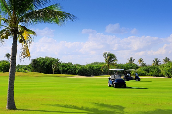 Golf course tropical palm trees in mayan riviera Mexico