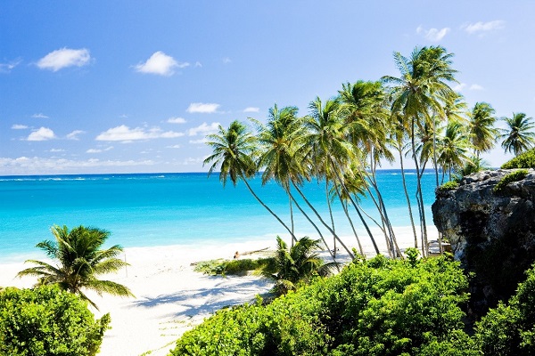 A sandy beach in Barbados with palm trees and bright blue sea in the sunshine