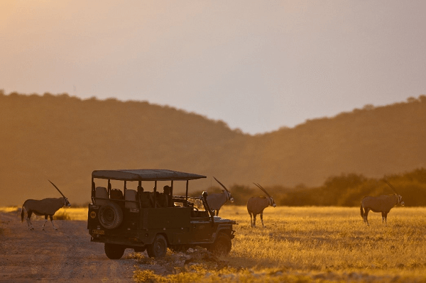 Safari truck