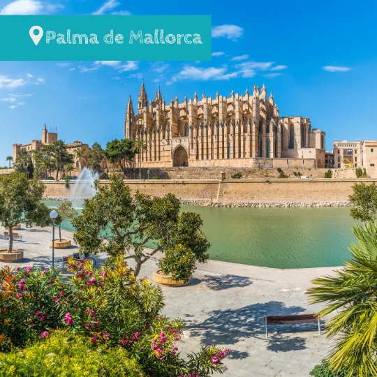 Palma de mallorca